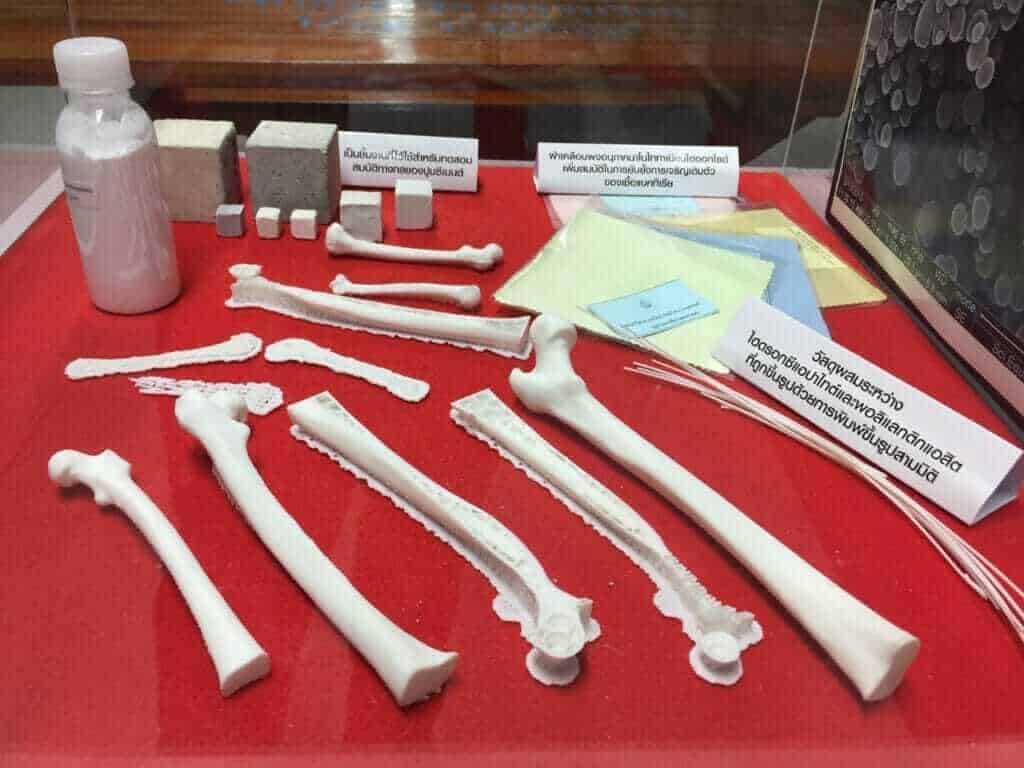 Bone from 3D Printing