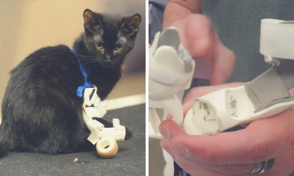 3D print prosthesis cat