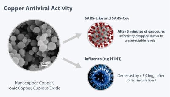 ANTIMICROBIAL ACTIVITY